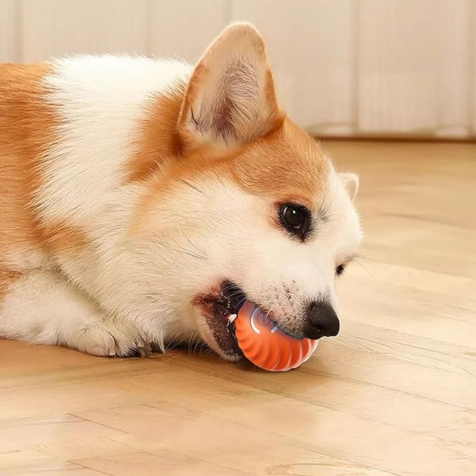 RollBuddy™ - Automatischer, intelligenter Hundeball