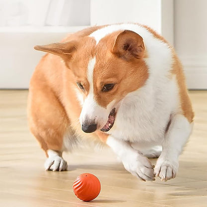 RollBuddy™ - Automatischer, intelligenter Hundeball